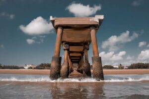 SIMBA&TIMONSafari(Tsavo East,Tsavo West,Amboseli) 34