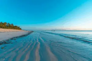 RobinsonIsland picture13