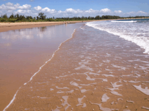 RobinsonIsland picture14