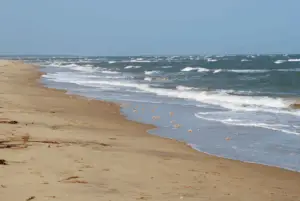 RobinsonIsland picture15