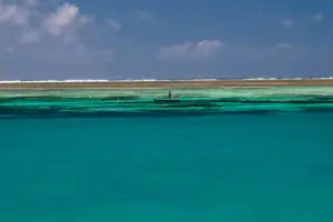 RobinsonIsland picture16