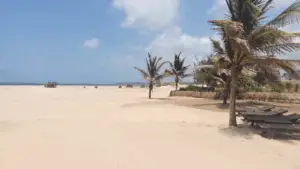 CheshaleBeach picture20