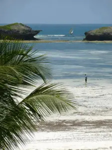 MalindiTour picture9